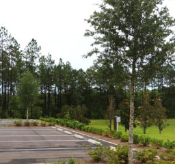 The Reserve Subdivision